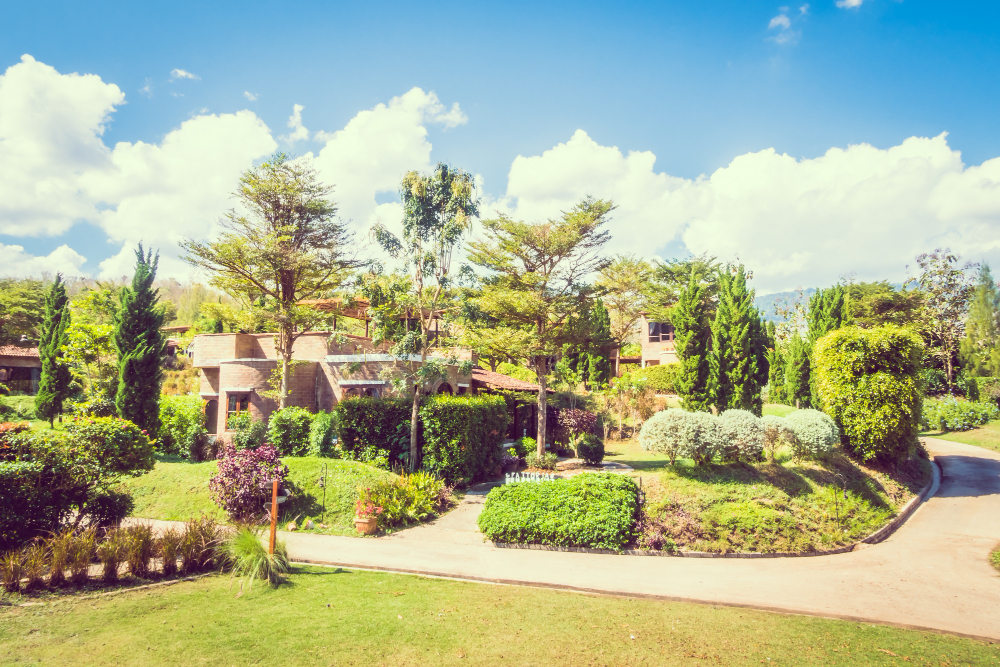 Aménagement d'extérieur à Longeville-sur-Mer